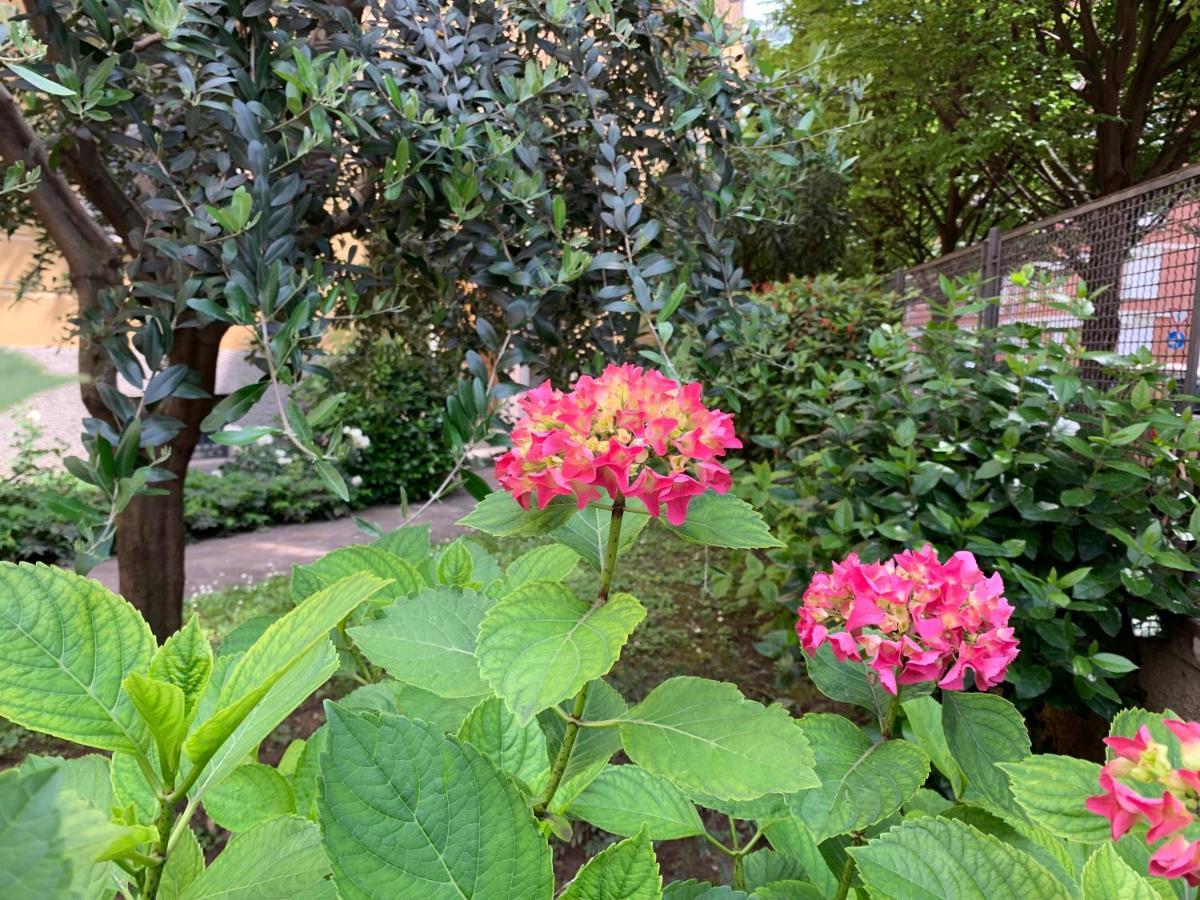Casa Beraldini Apartamento Verona